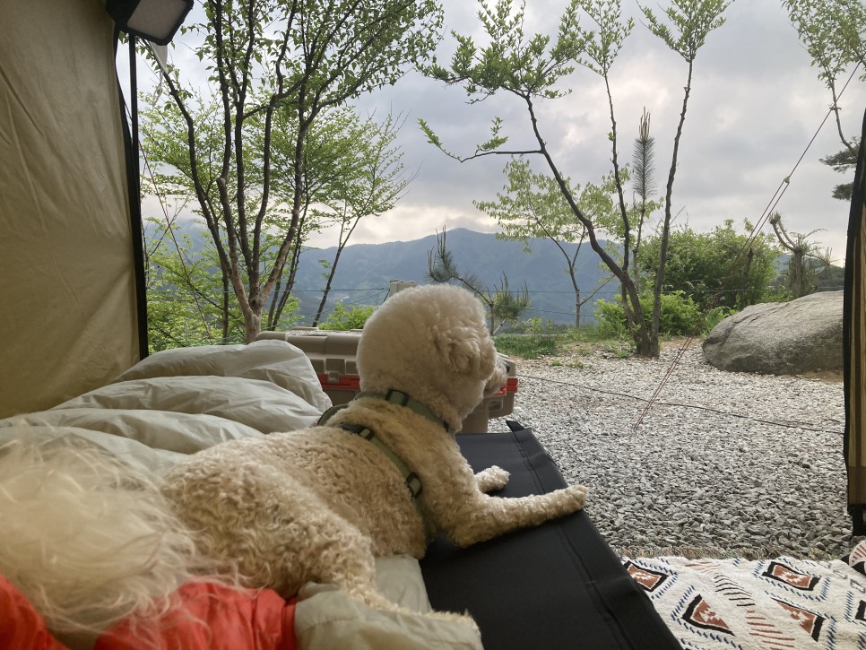 함양천자봉관광농원숲속애 이미지