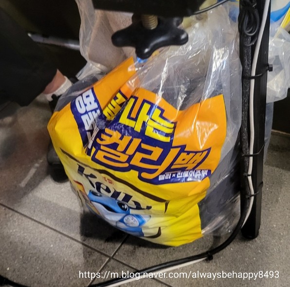 향돈 이미지