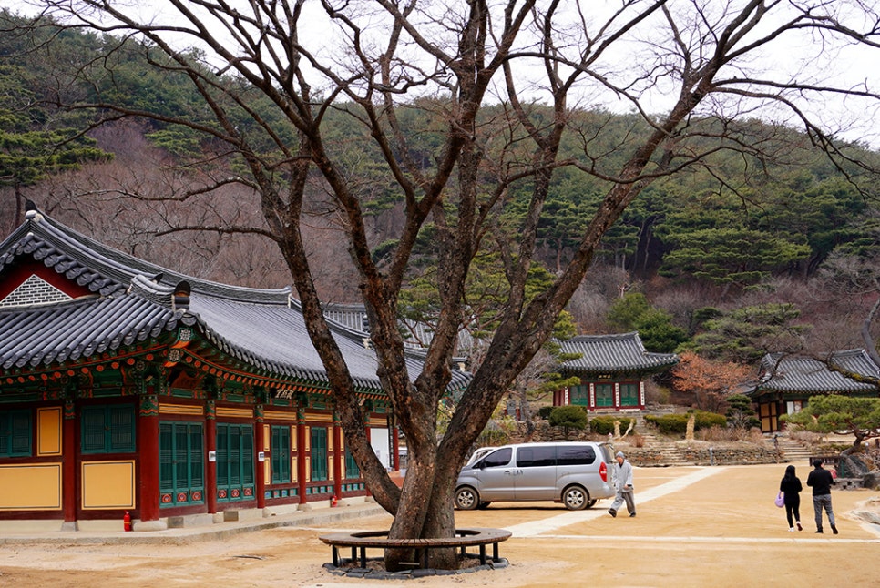 죽림서정이네 이미지