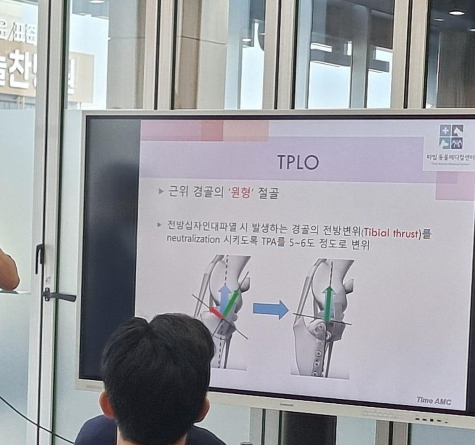 수의골관절학회 이미지