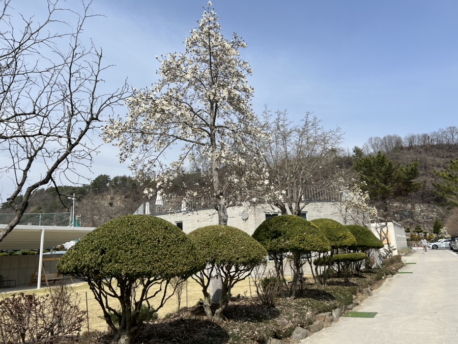 그라운드헤븐패밀리 이미지