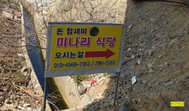 돈참새미 이미지
