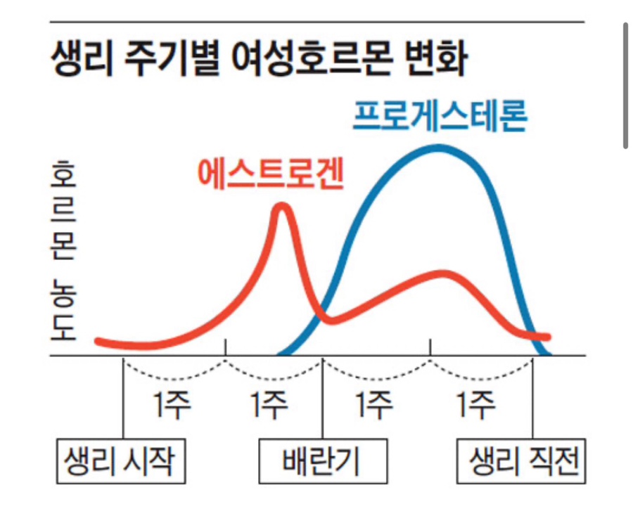 베스탑비뇨기과의원 이미지