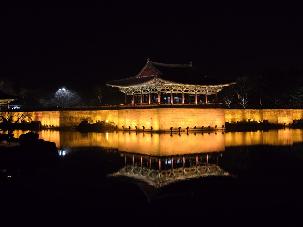 감포일출복어 이미지