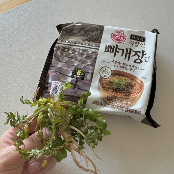 홍성 오뚜기 이미지