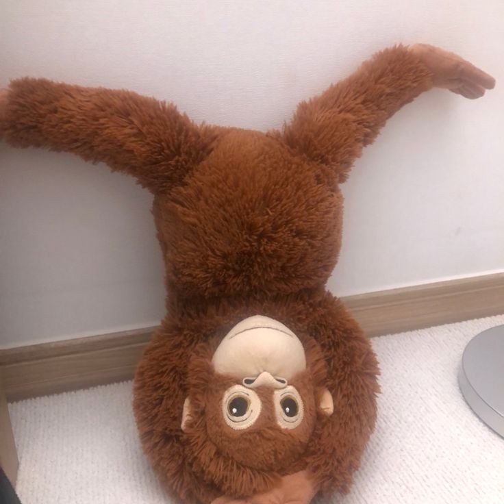 오느른 이미지