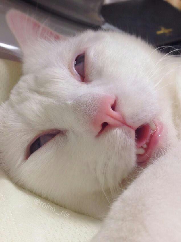 구십도 이미지