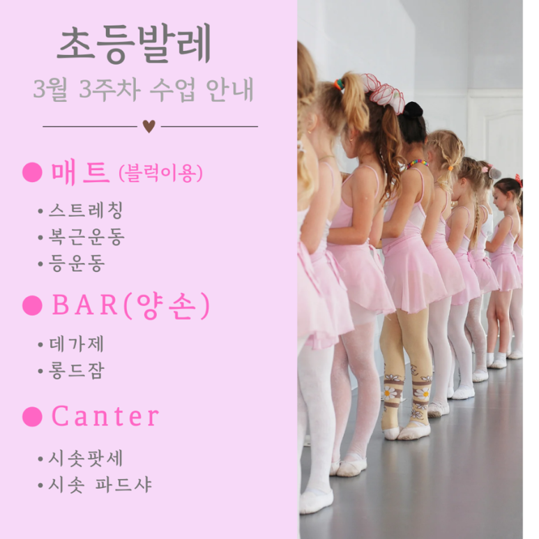 춤담무용학원 이미지
