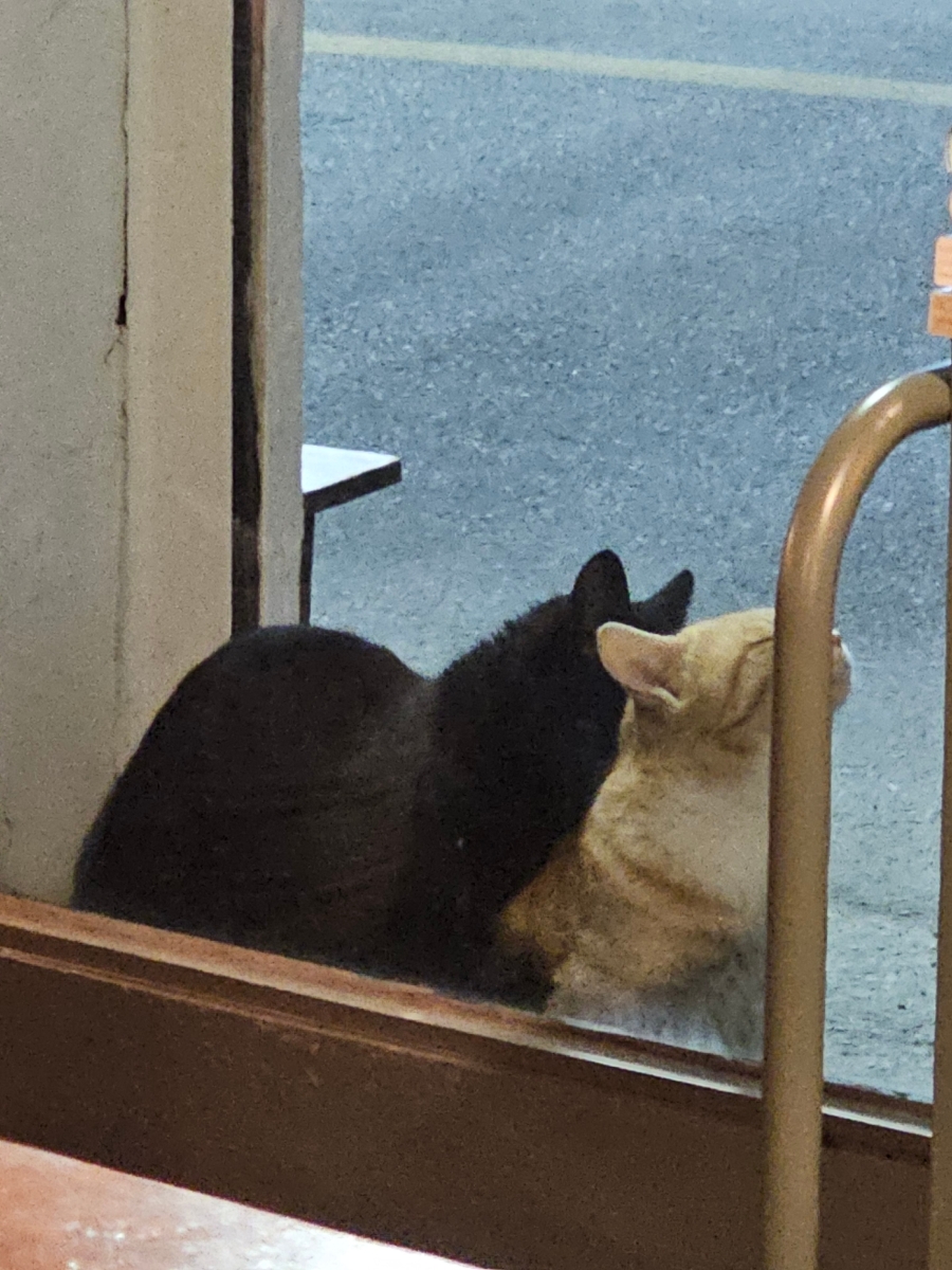 삼성식당오또 이미지