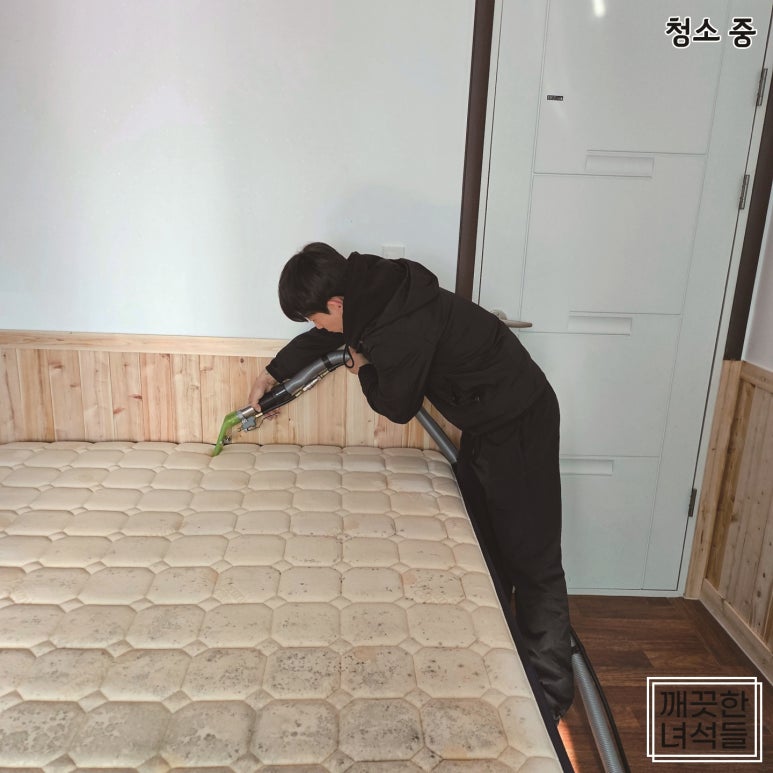 깨끗한녀석들 이미지