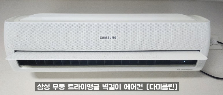 다미클린 이미지