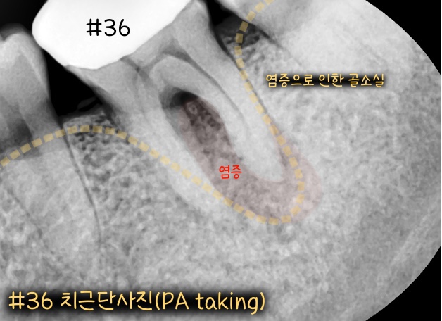 김태영치과의원 이미지