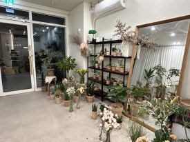 플레로드 이미지