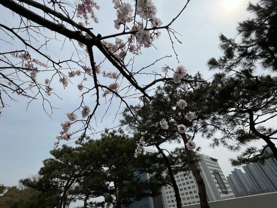 은하수휴게실 이미지