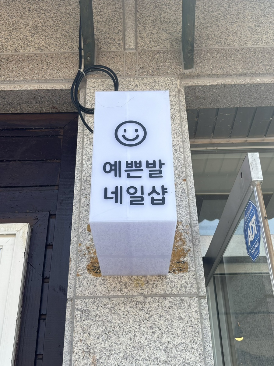 횡성산마루더덕 이미지