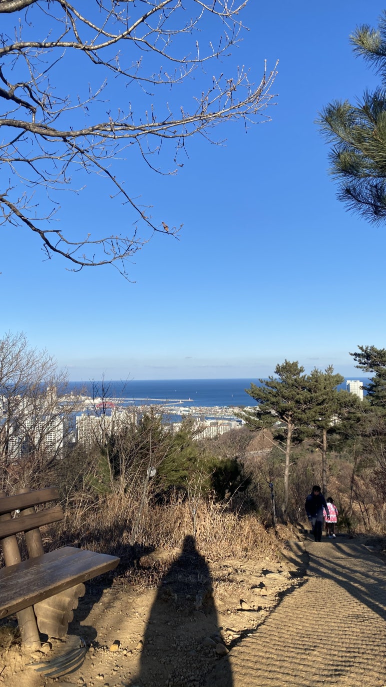 예초청년들 이미지