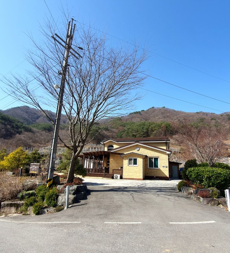 짱머리방 이미지