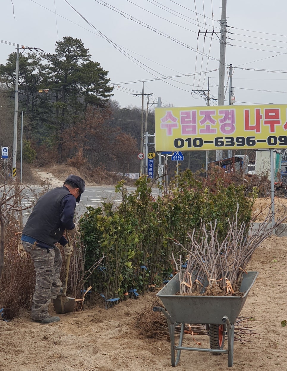 수림조경 이미지
