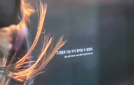 더감동 이미지