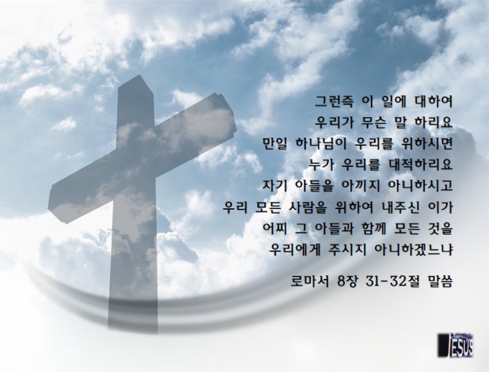 하리요8 이미지