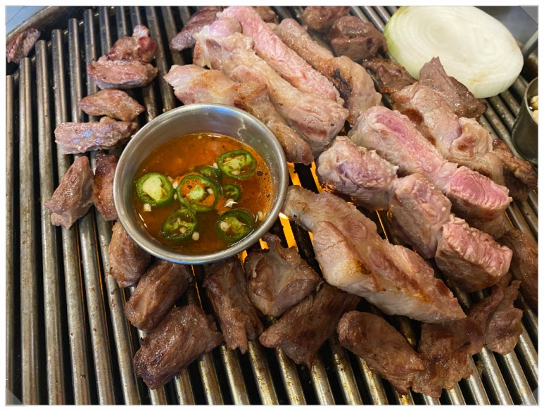 동백양과 이미지