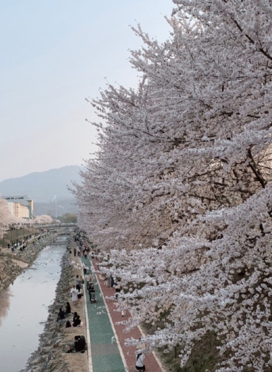 주식회사 무브컬쳐 이미지