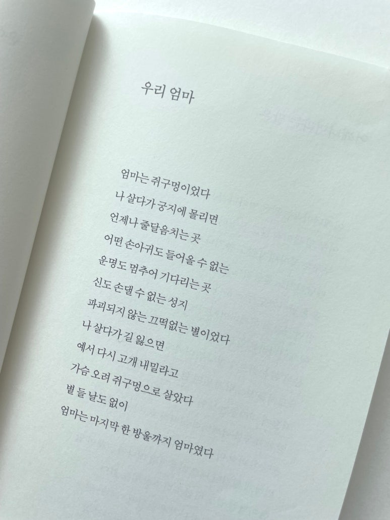 노을다방 이미지
