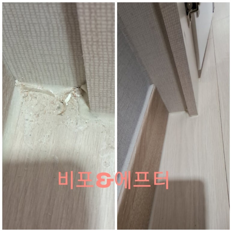 닥터박클린 이미지