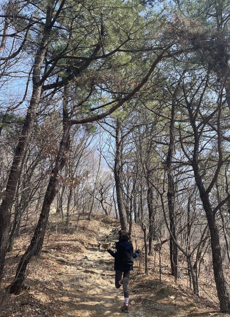 김해아울렛네파 이미지