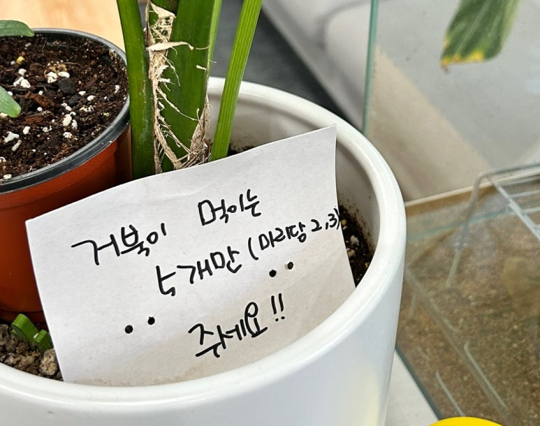 포레스테리어 이미지