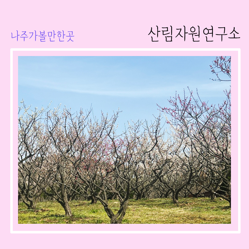 좋은풍경연구소 이미지
