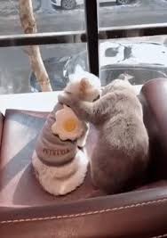 (주)제이오 이미지