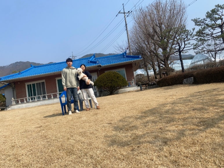은행나무수산 이미지