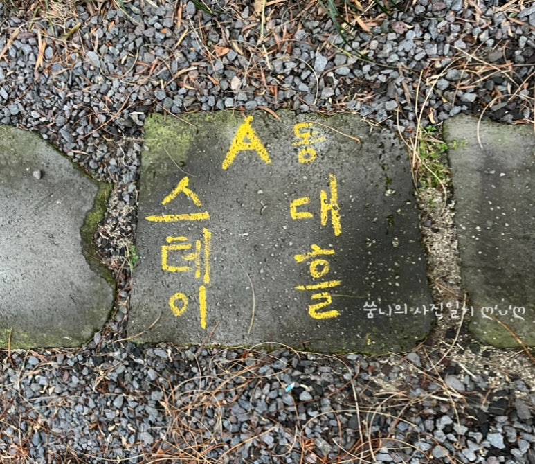 제주스테이대흘 이미지