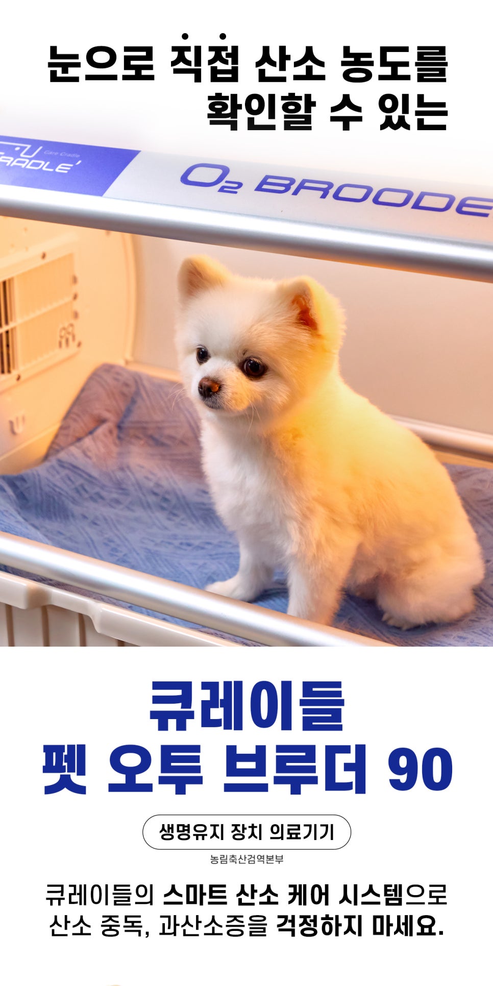 오투산소방 이미지