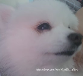 누나테라피 이미지