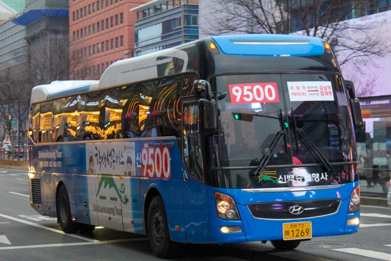 뉴럭셔리여행사 이미지