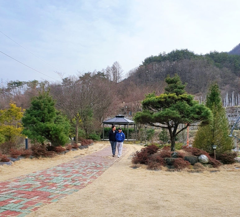 짱머리방 이미지