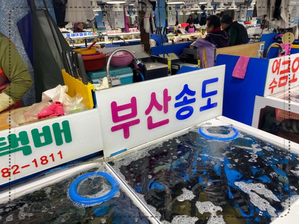 송도수산 이미지