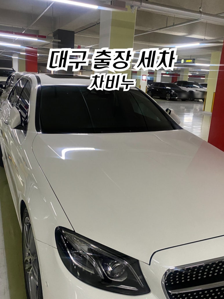차비누대구 이미지
