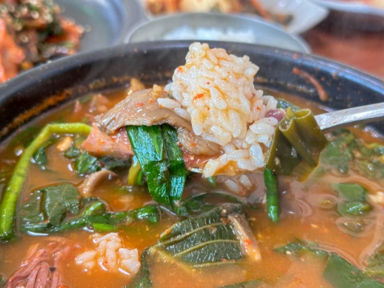 청솔흑염소 이미지