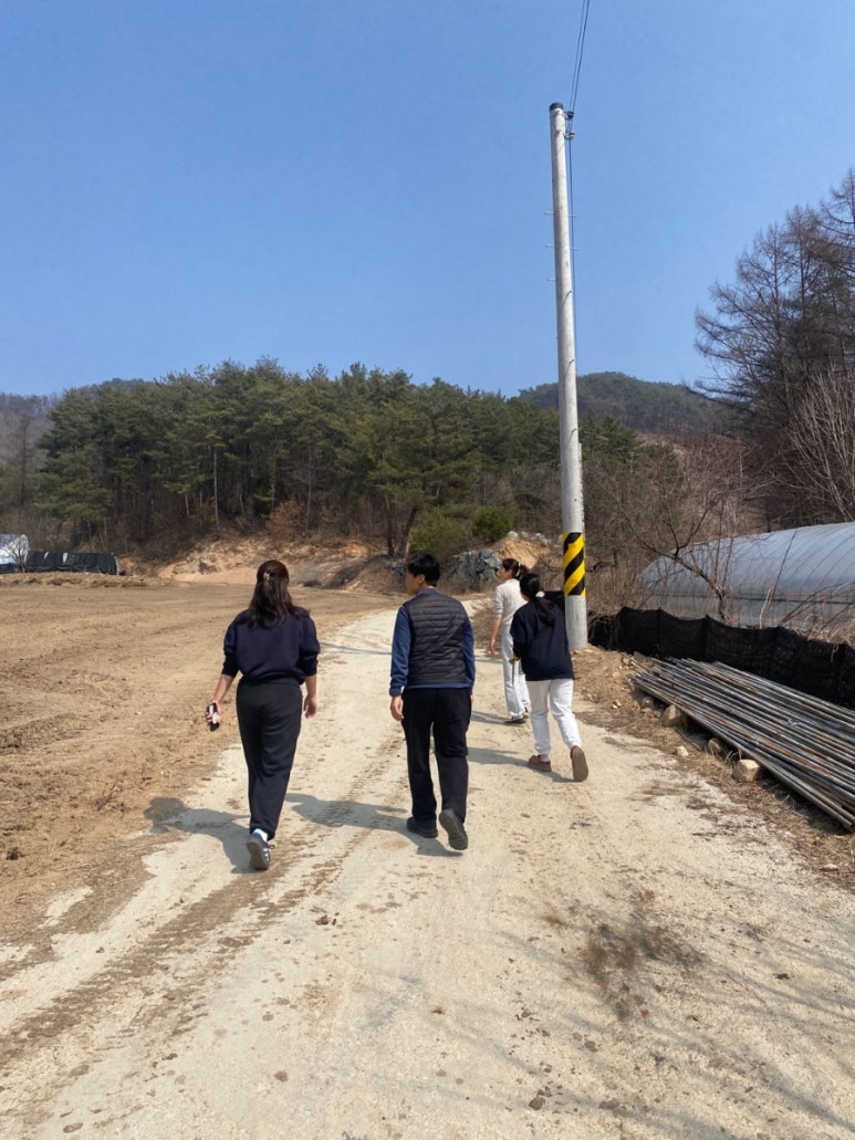 은행나무수산 이미지