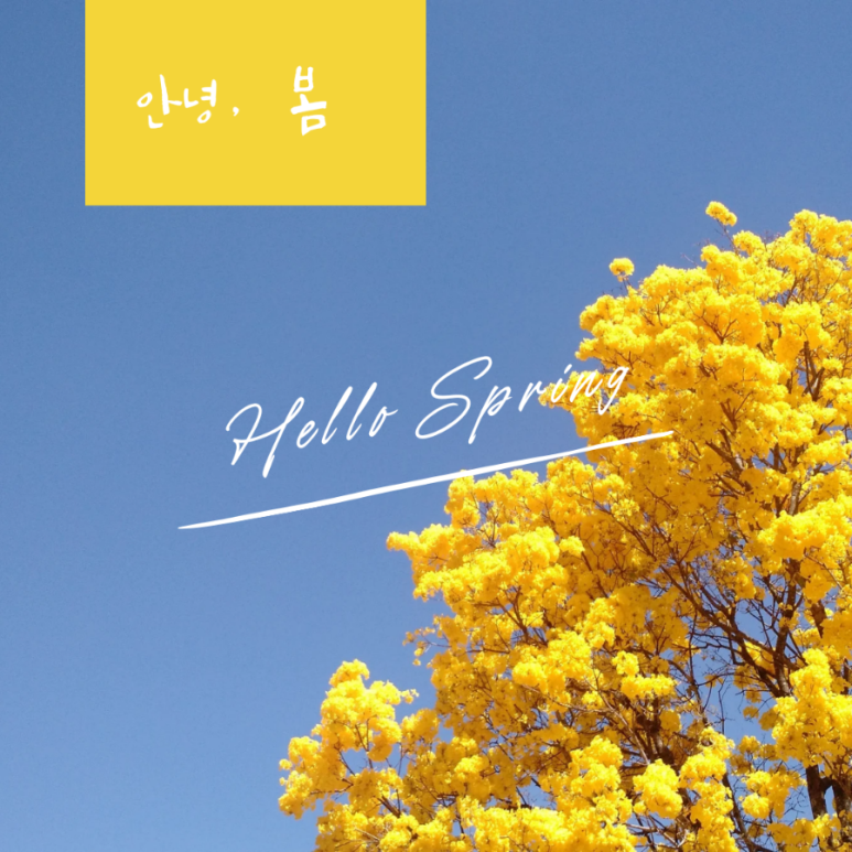 라피움 에스테틱 이미지