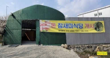 돈참새미 이미지
