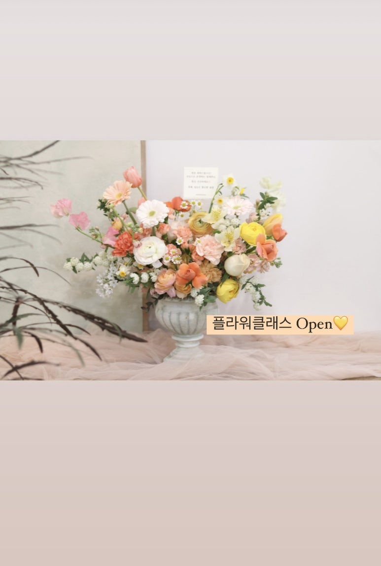 보볼리플라워 이미지