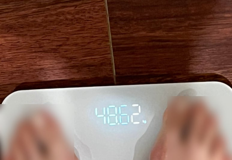 엘프폴스튜디오 이미지