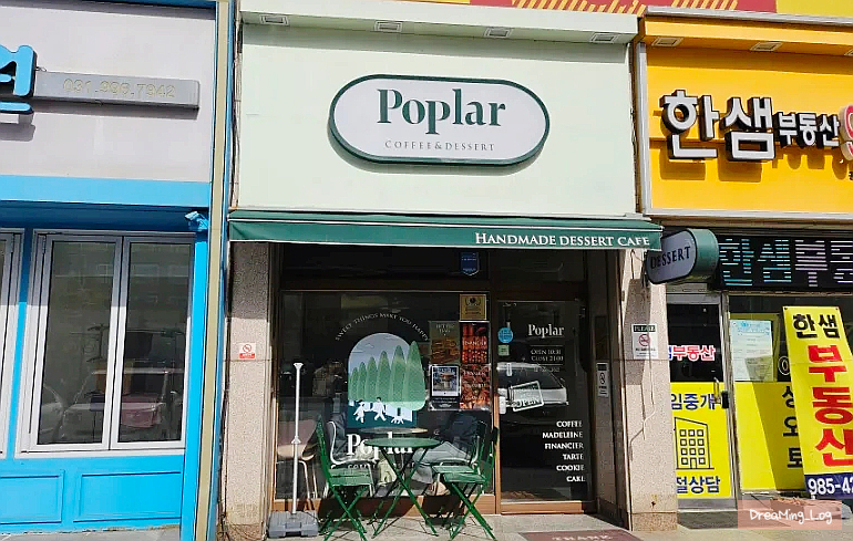 포플러(poplar) 이미지