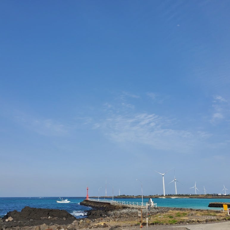 초록마을제주 이미지