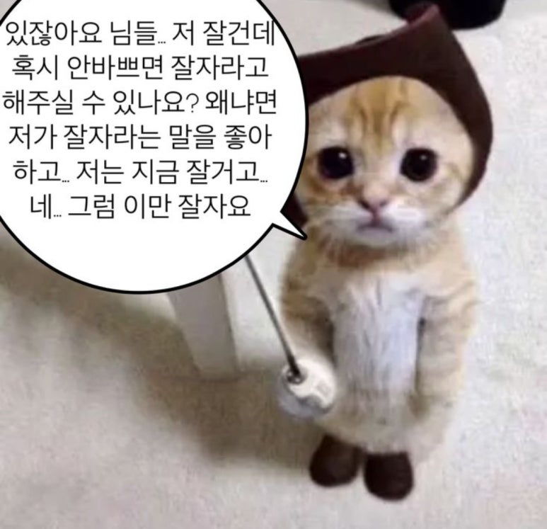 마이따 이미지