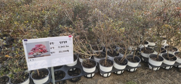 화천시장조합 이미지